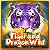 Tiger and Dragon Wild icon